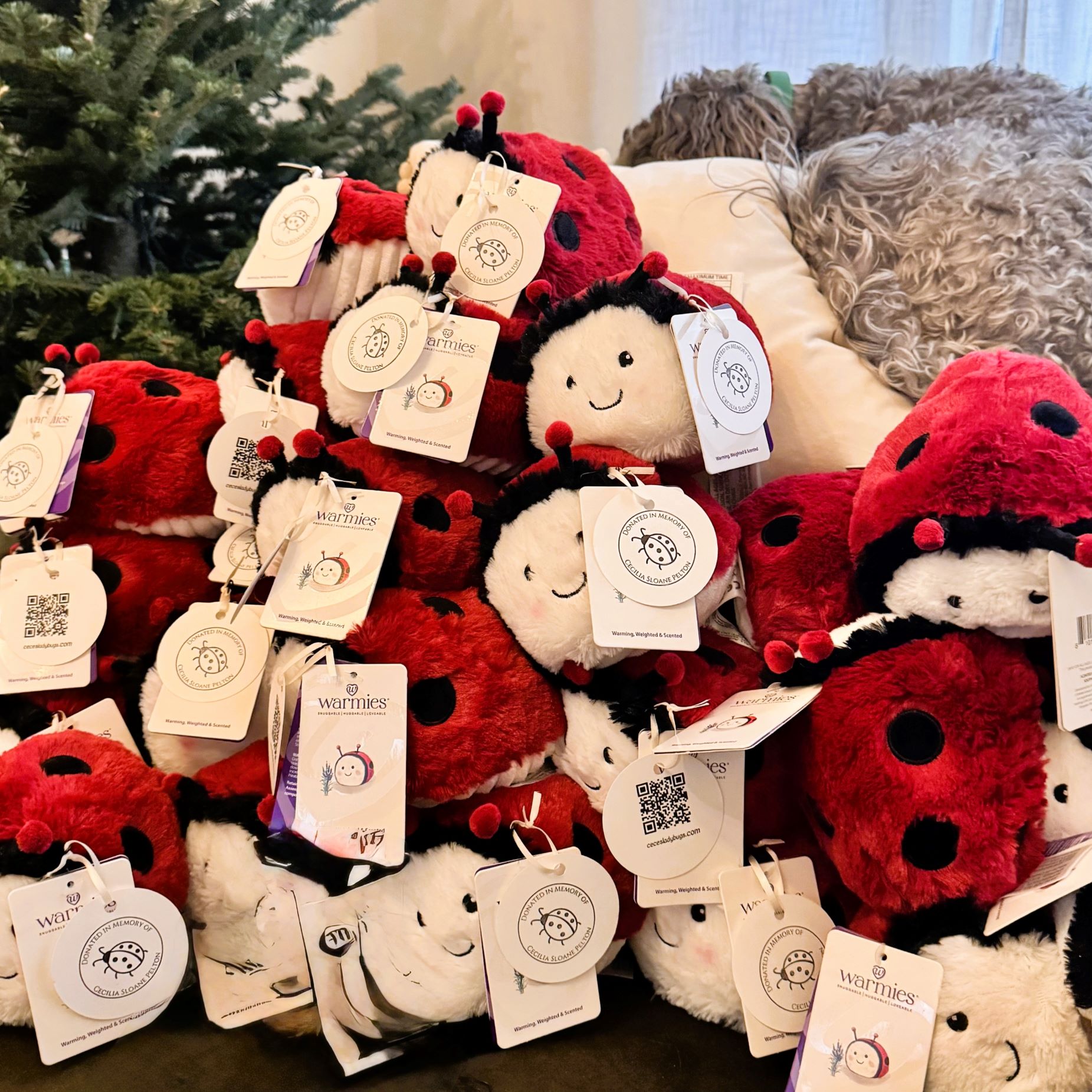 Ladybug Warmies donation